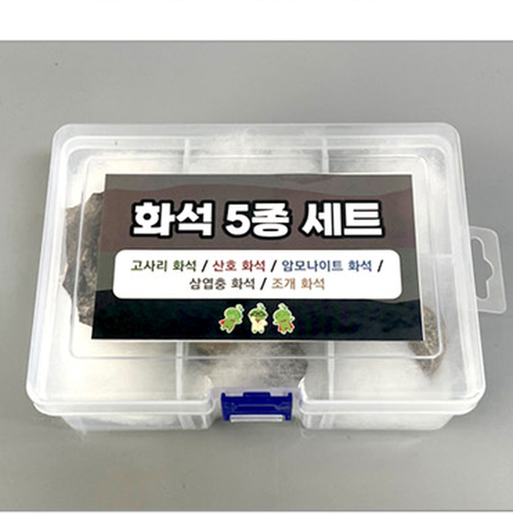 초등고학년화석세트 방과후수업화석표본 지층탐구 5종세트 - 상세 이미지 2