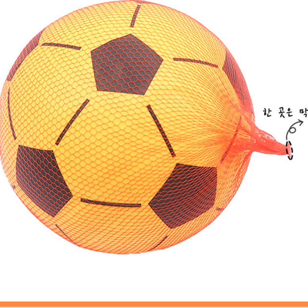 우리몸탐구초등5학년1학기모형과일망 뼈근육탐구실험뼈모형만들기 다용도활용방과후수업과일망 10개입 - 상세 이미지 2