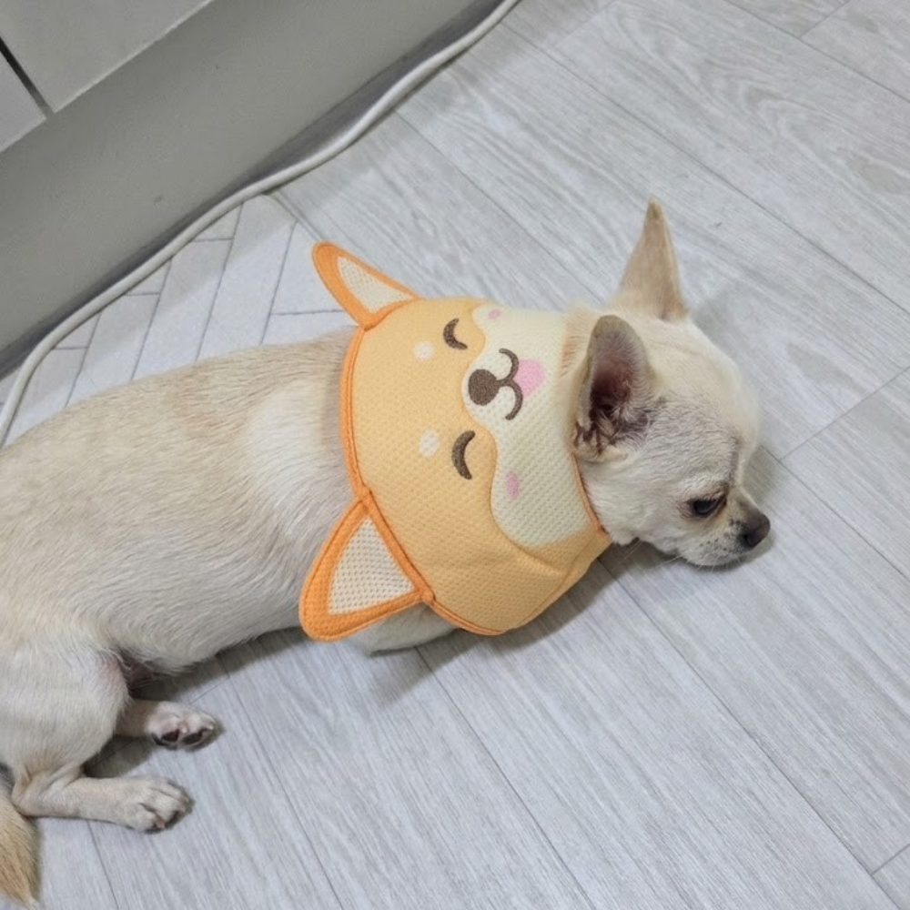 바람솔솔 상처보호 드림베이스 통기성 초경량 넥카라 강아지 고양이 수술 상처 목보호대 샌드폭스, L 이미지 6