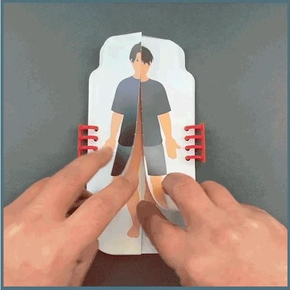 바인더노트형 인체구조그림책 근육 골격 신경 내부기관관찰교구 - 상세 이미지 4