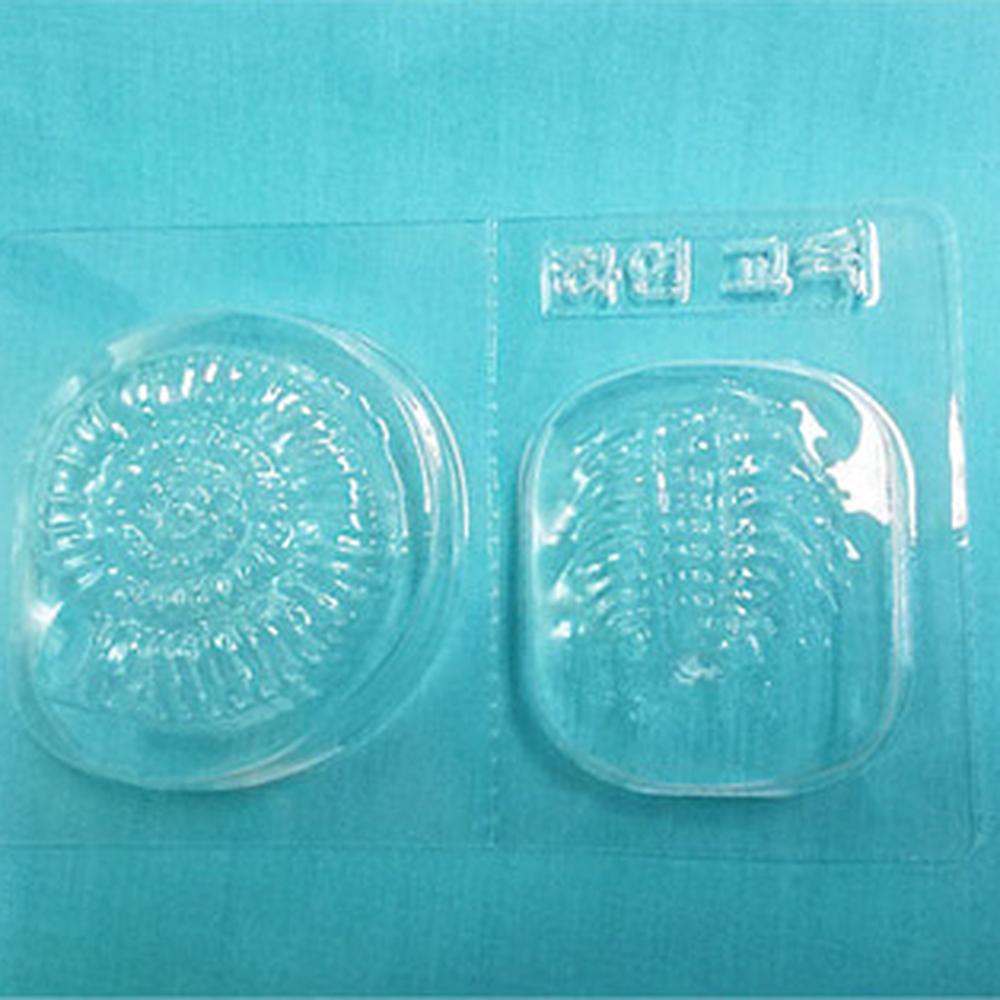 재미있는과학 초등4학년1학기화석틀 관찰용방과후수업화석만들기틀 - 상세 이미지 2