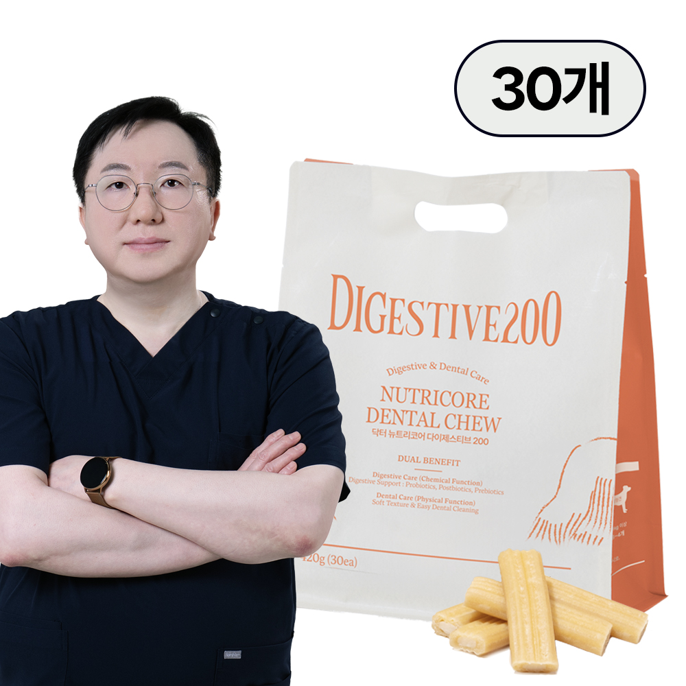 닥터뉴트리코어 다이제스티브200 강아지유산균덴탈껌 420g, 1개