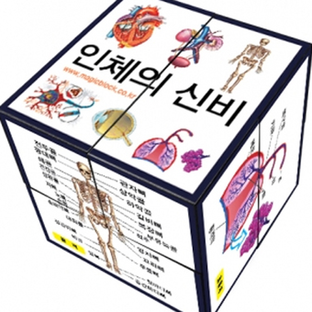 입체모형방과후수업인체매직큐브 탐구놀이과학실험 초등고학년인체매직블럭 5인세트 일반형(자석없음) - 상세 이미지 2