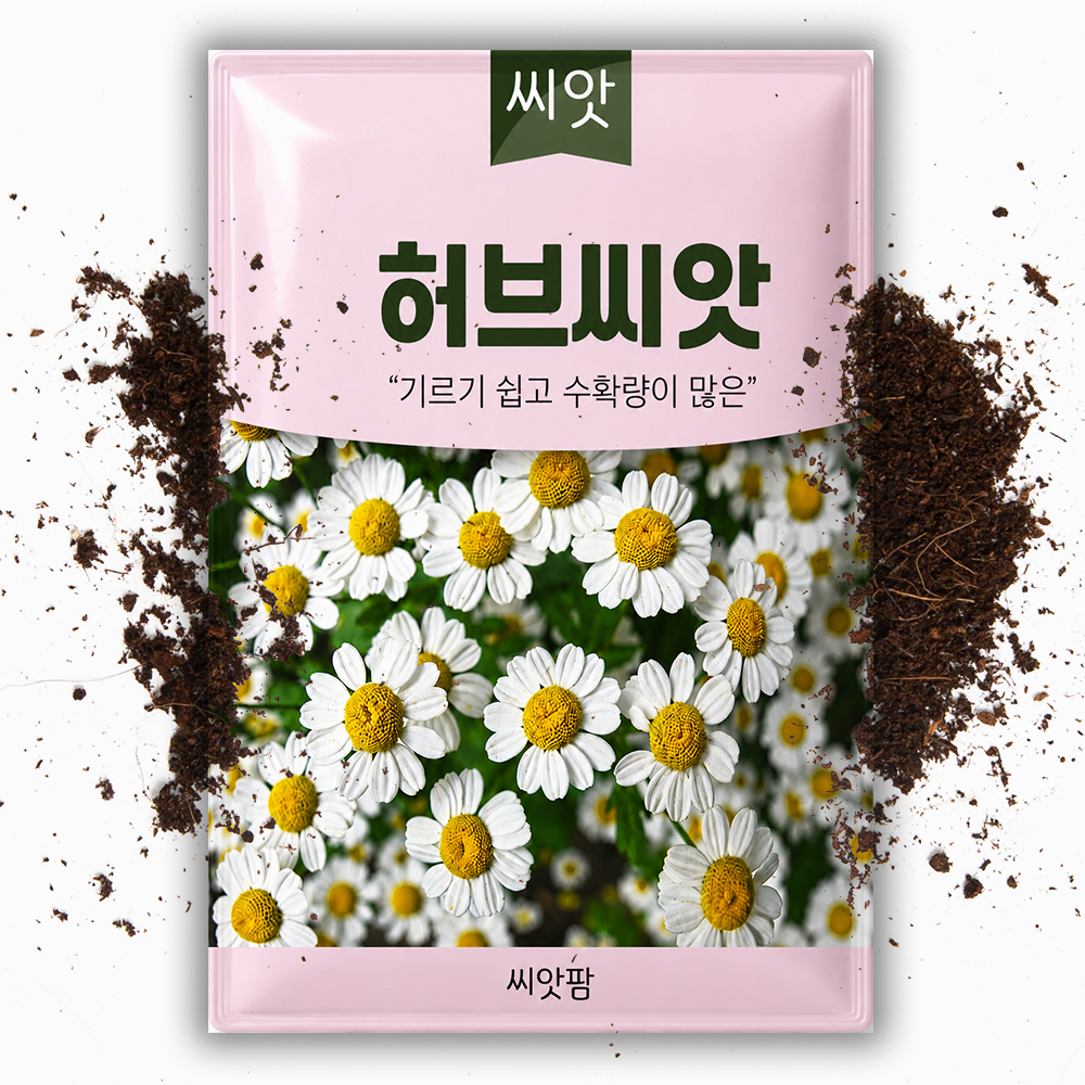허브씨앗 캐모마일 허브씨 종자 허브 키우기 - 상품 이미지