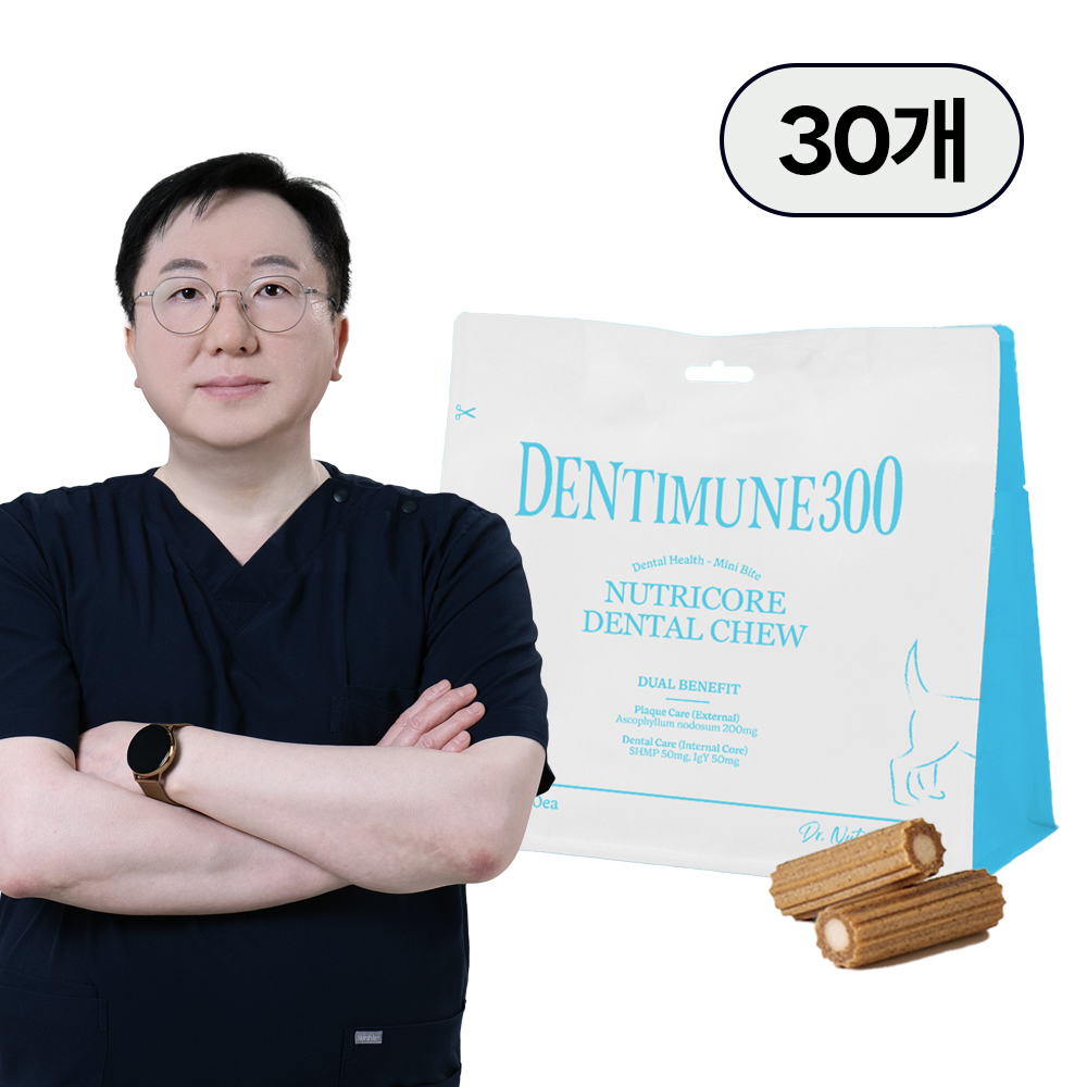닥터뉴트리코어 덴티뮨300 강아지치석제거덴탈껌 300g, 1개