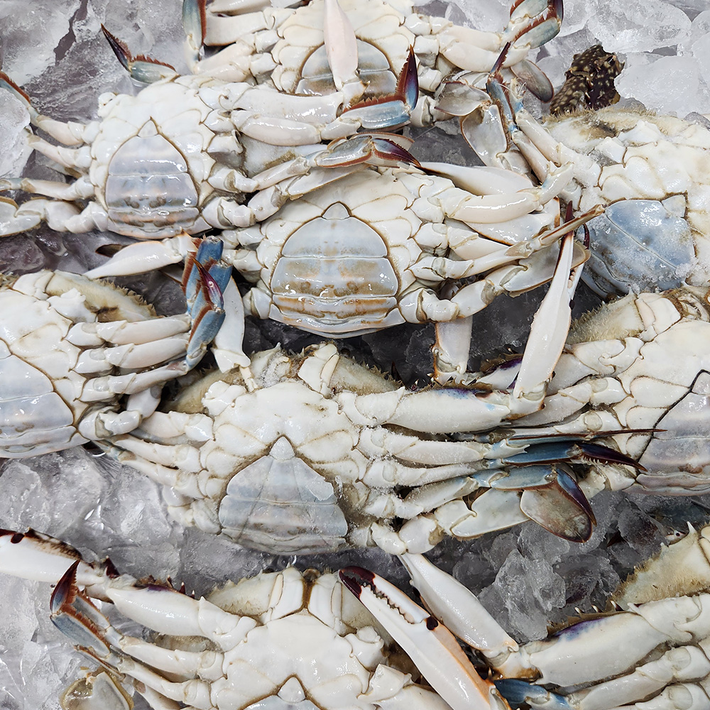 퍼스트프레시 국내산 서해안 알배기 암꽃게 4-6미 1kg, 1개 - 상세 이미지 5