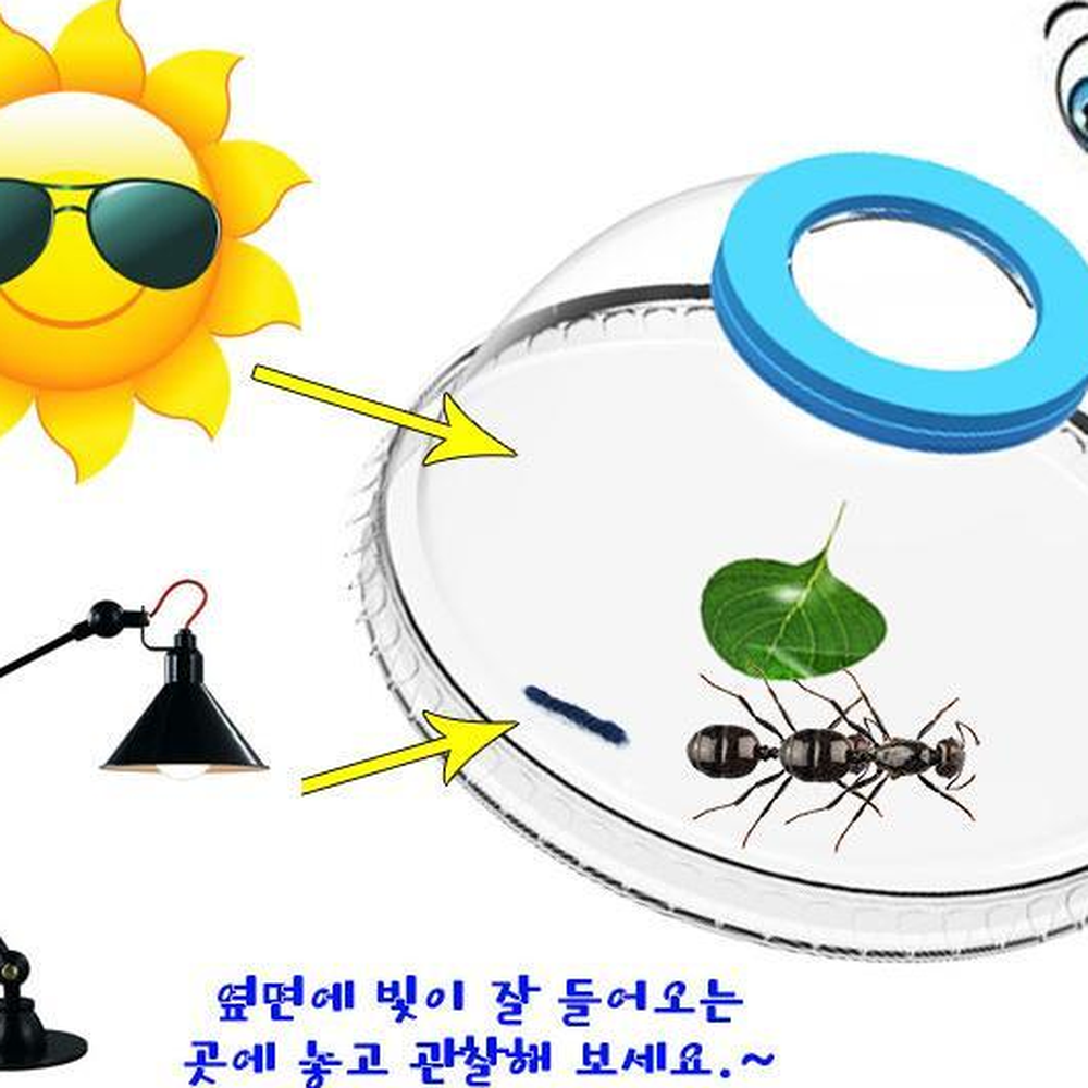 볼록렌즈관찰경만들기 곤충채집관찰 볼록렌즈원리교구 5인용세트 - 상세 이미지 4