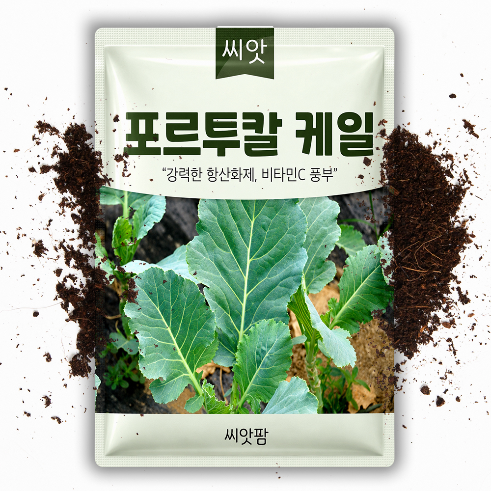포르투칼 케일씨앗 600립 쌈채소씨앗 채소 종자 - 상품 이미지