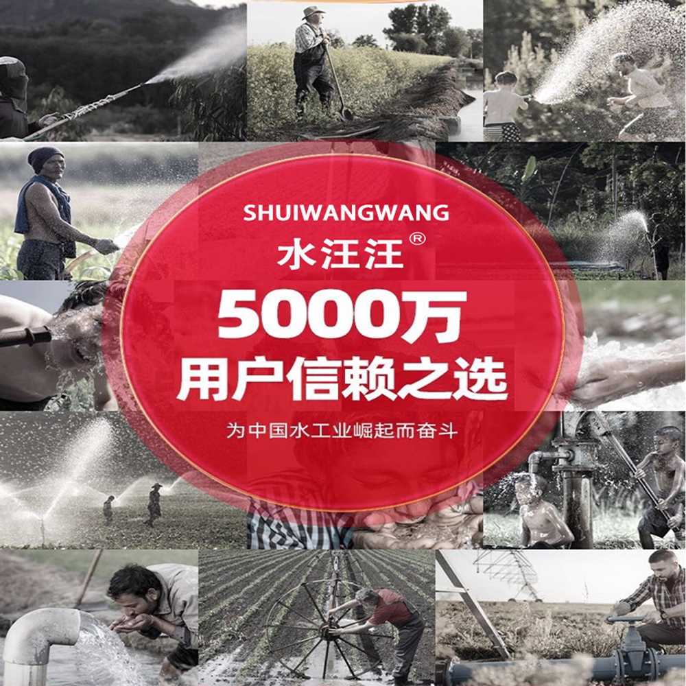 원예용 워터펌프 수영장 호스 물주기 고압 양수기 1 1000W 48V-72V - 상세 이미지 5