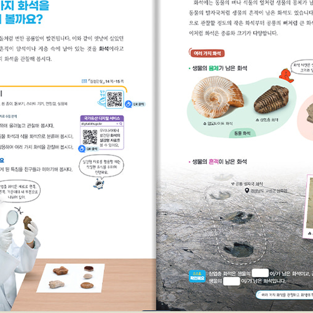 초등과학 지질탐구방과후수업화석관찰세트 비상교과서연계지구과학교구화석표본세트 6종 - 상세 이미지 2