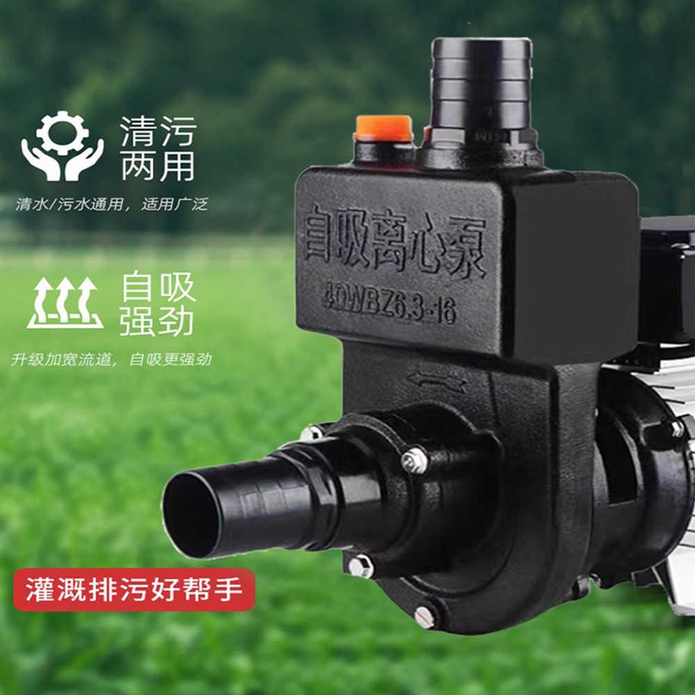 원예용 워터펌프 수영장 호스 물주기 고압 양수기 1 1000W 48V-72V - 상세 이미지 4