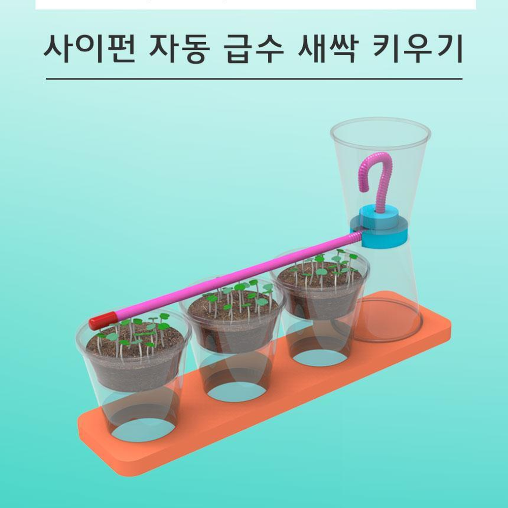 빨대자동급수기 새싹씨앗키우기키트 사이펀원리실험 초등문화센터교구 - 상세 이미지 3