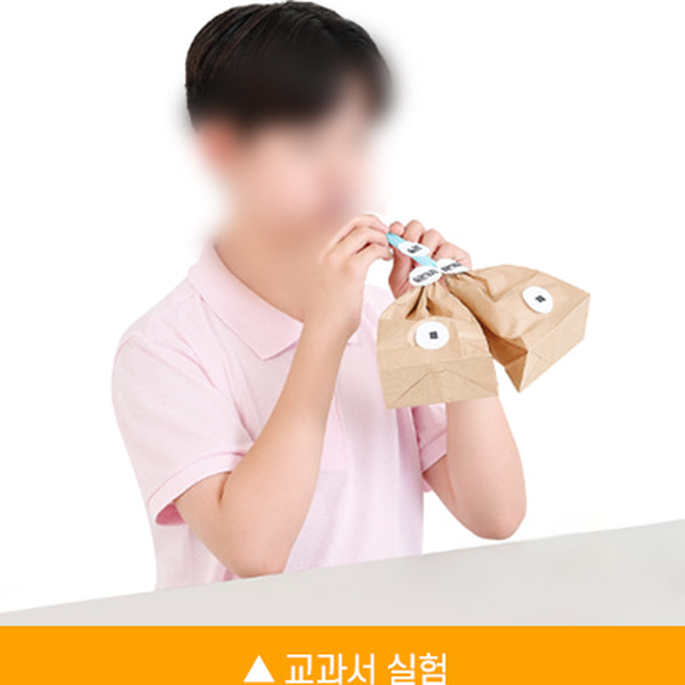 신체원리교과연계학습폐구조모형 만들기체험생물과학실험 종이봉투과학실험숨쉬기모형 4인세트 - 상세 이미지 3