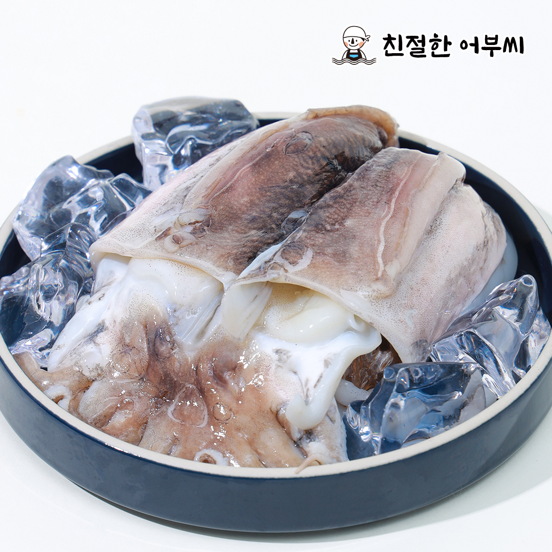 손질갑오징어 냉동 갑오징어볶음 숙회 구이 1.5kg 수산물이력제 친절한어부씨 - 상세 이미지 2