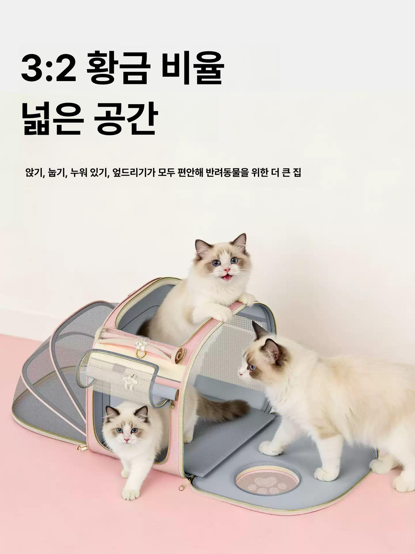 고양이 강아지 외출용 대용량 휴대용 반려동물 배낭 핑크 프리사이즈 - 상세 이미지 3