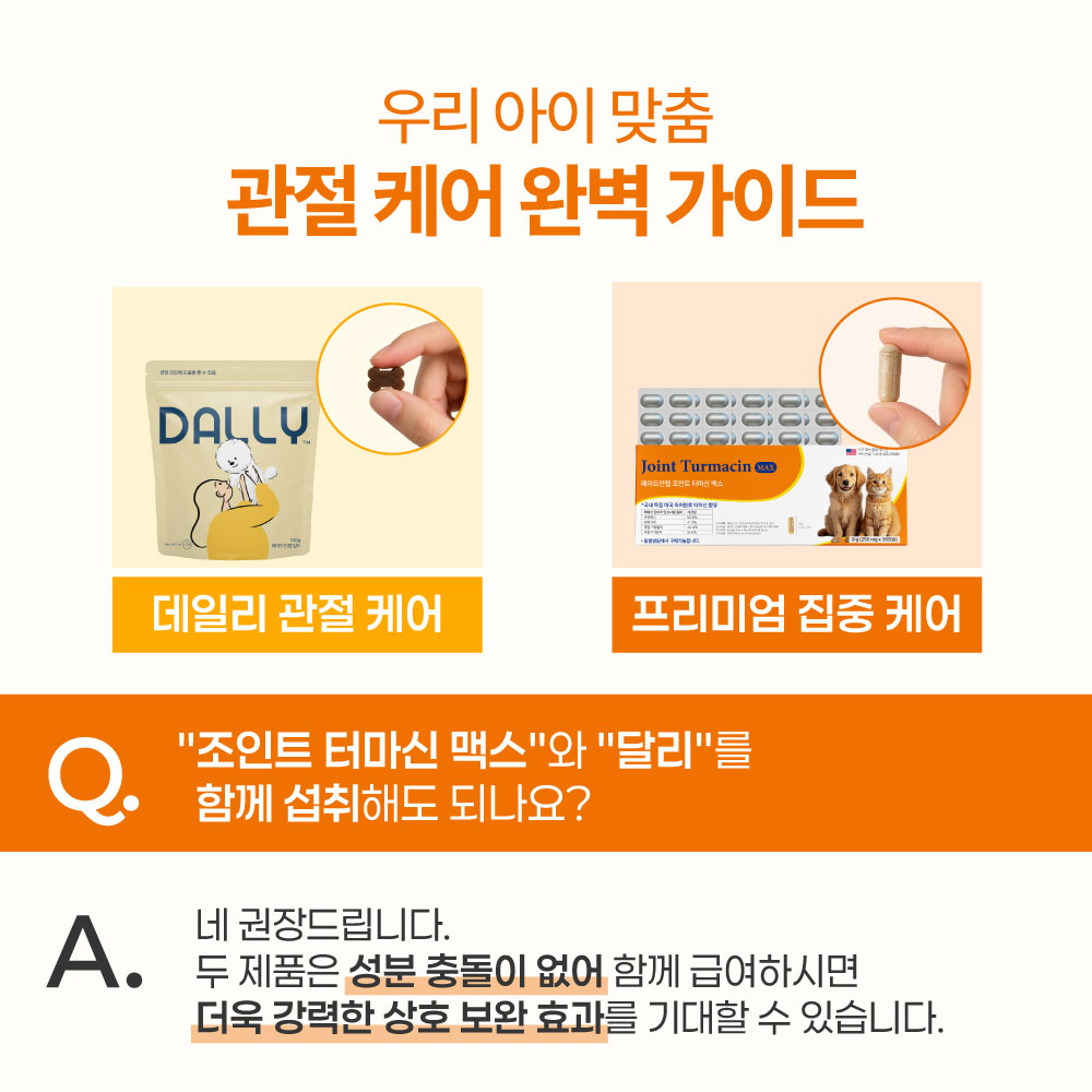 강아지 영양제 관절 터마신 달리 메이드인랩 100개입, 1개 - 상세 이미지 2
