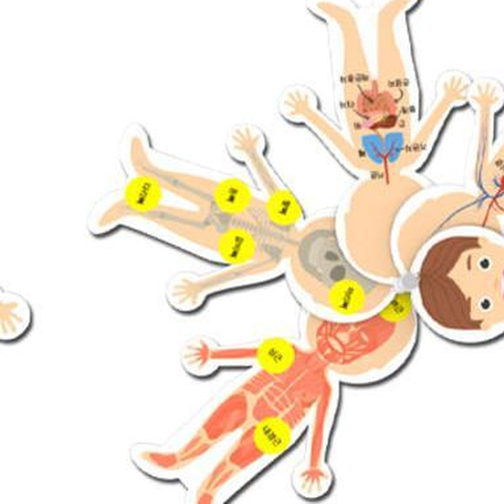 우리의몸구조 인체과학학습카드 인체부위단어스티커붙이기 1개입 - 상세 이미지 2