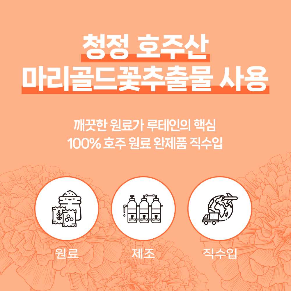 시너지엔 호주 루테인 비전플러스 눈건강 마리골드꽃 빌베리 비타민A 60캡슐, 1개 - 상세 이미지 3