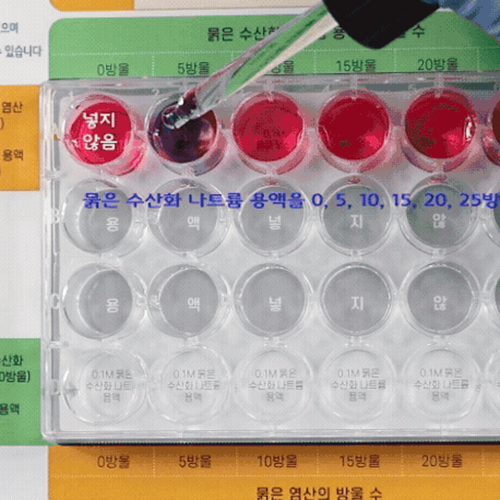 자유탐구지시약반응관찰 실험판형초등고학년염산반응실험 협동학습화학성질탐구용액색깔관찰 2인세트 - 상세 이미지 3