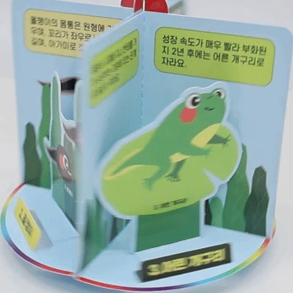 생물탐구생물실험생명주기학습 관찰학습과학탐구양서류한살이 초등교육초등3학년개구리한살이 - 상세 이미지 4