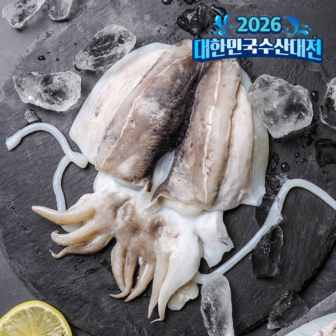 손질갑오징어 1마리 개별포장 갑오징어볶음 숙회 냉동 친절한어부씨 - 상품 이미지