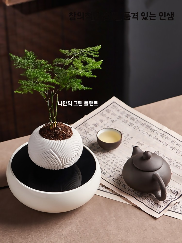 사기 화분 공중 부양 화분 마술 요술 물구멍 없는 화분 - 상세 이미지 4