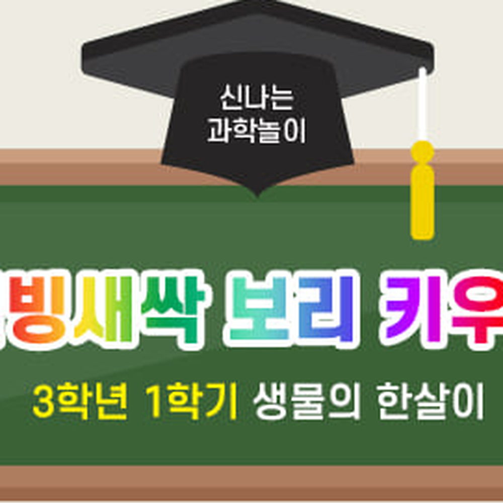 씨앗발아방과후수업 초보가드너식물성장관찰새싹재배세트 가정재배새싹보리키우기 4인세트 - 상세 이미지 3