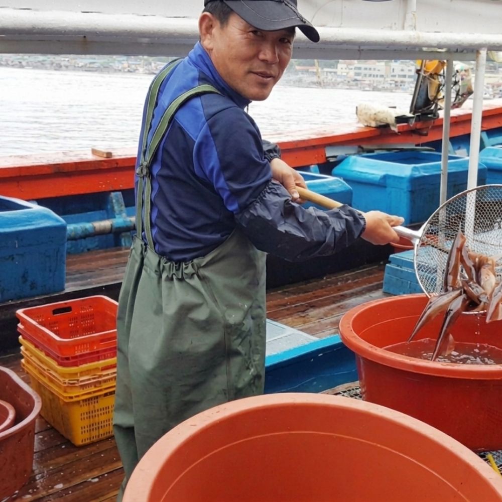 오징어통찜 통오징어찜 신진항 묵호항 신진도 태안 무늬오징어회 생오징어 1kg - 상품 이미지