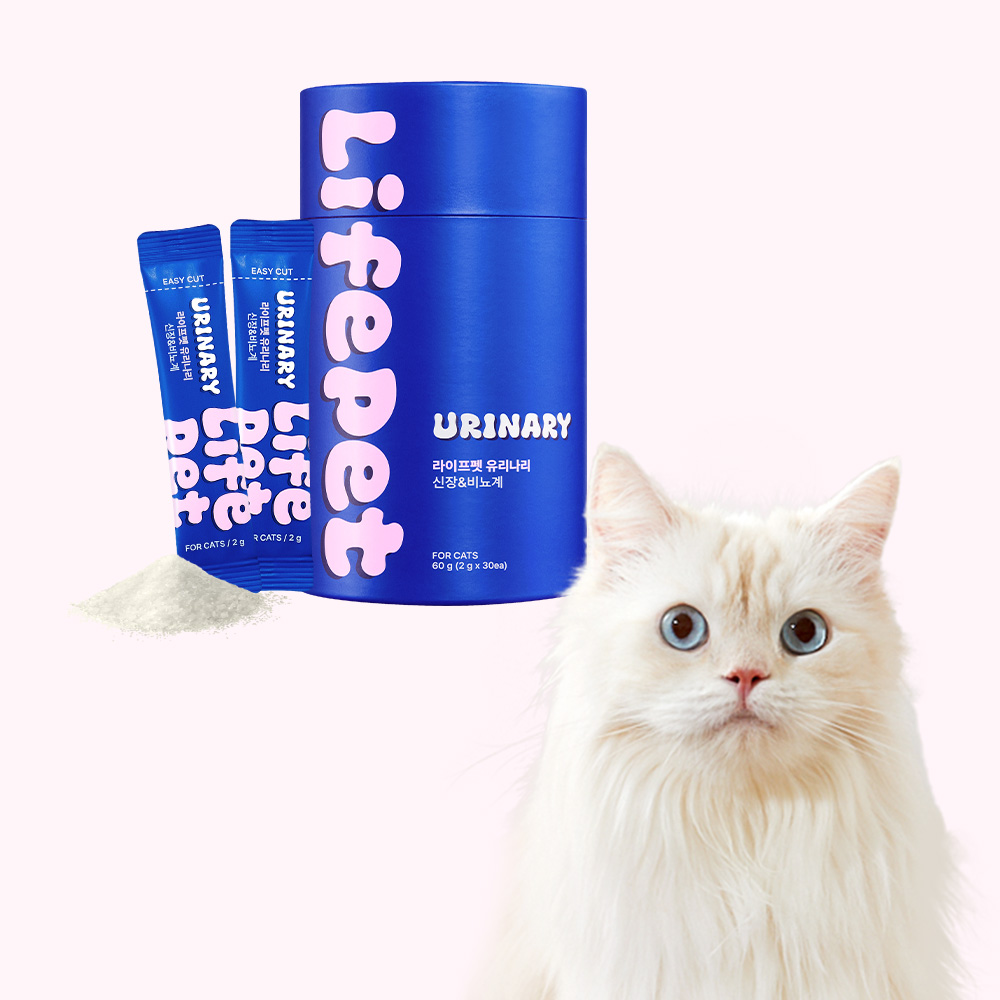 [슈퍼적립][사은품증정] 라이프펫 고양이 유산균 영양제 유리나리 방광염 노묘 요로결석 변비 신장+요로건강, 30포, 1개 - 상품 이미지