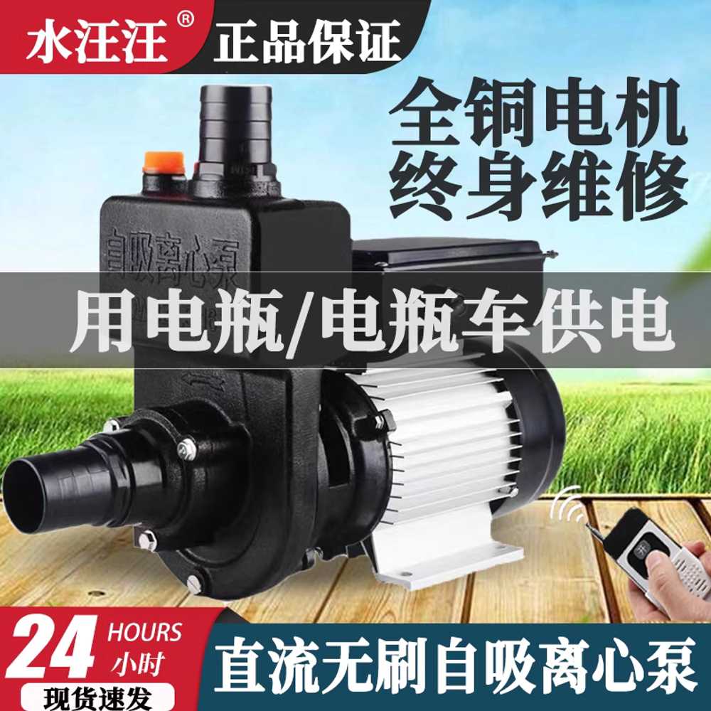 원예용 워터펌프 수영장 호스 물주기 고압 양수기 1 1000W 48V-72V - 상세 이미지 2