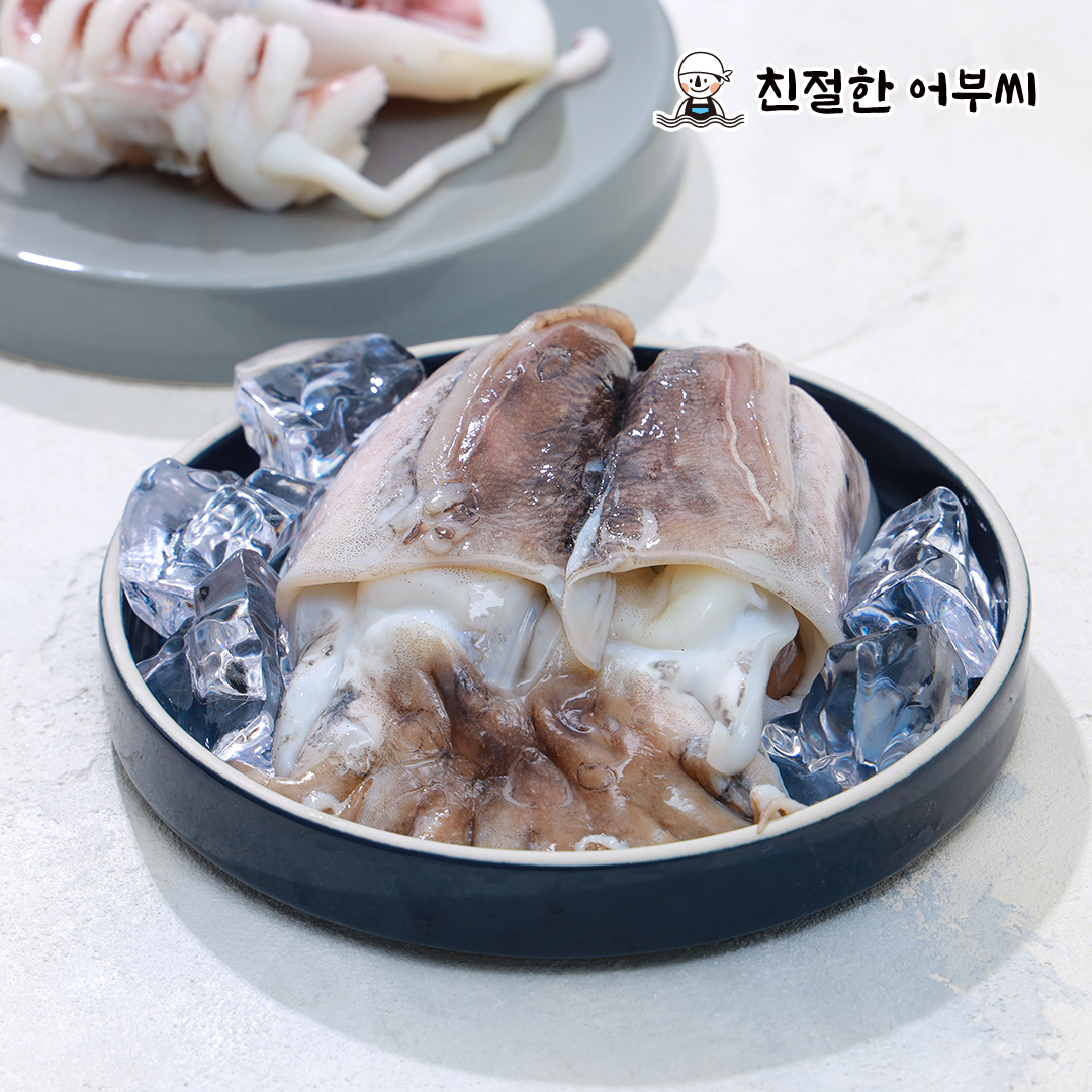 손질갑오징어 냉동 갑오징어볶음 숙회 구이 1.5kg 수산물이력제 친절한어부씨 - 상세 이미지 5