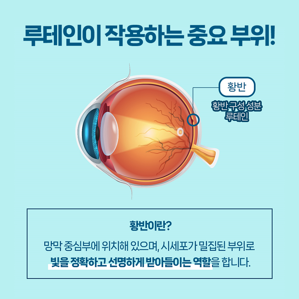 시너지엔 호주 루테인 비전플러스 눈건강 마리골드꽃 빌베리 비타민A 60캡슐, 1개 - 상세 이미지 5