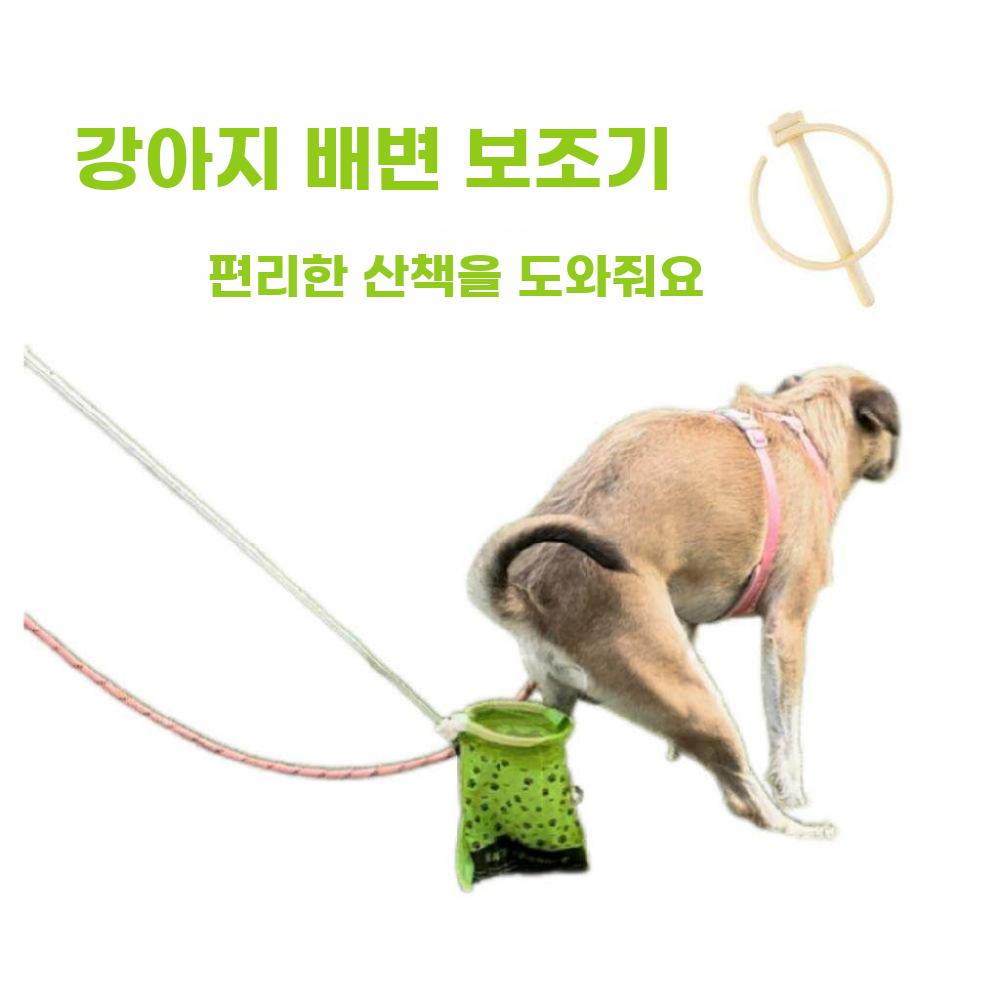 강아지 배변 집게 반려견 봉투 산책용 처리 도구 - 상세 이미지 5