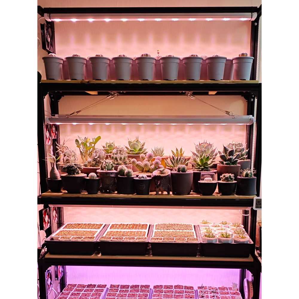 식물성장등 라인형 바 램프 LED 식물생장등 전구 대형 H30 0.3m 20W 단일 - 상세 이미지 4