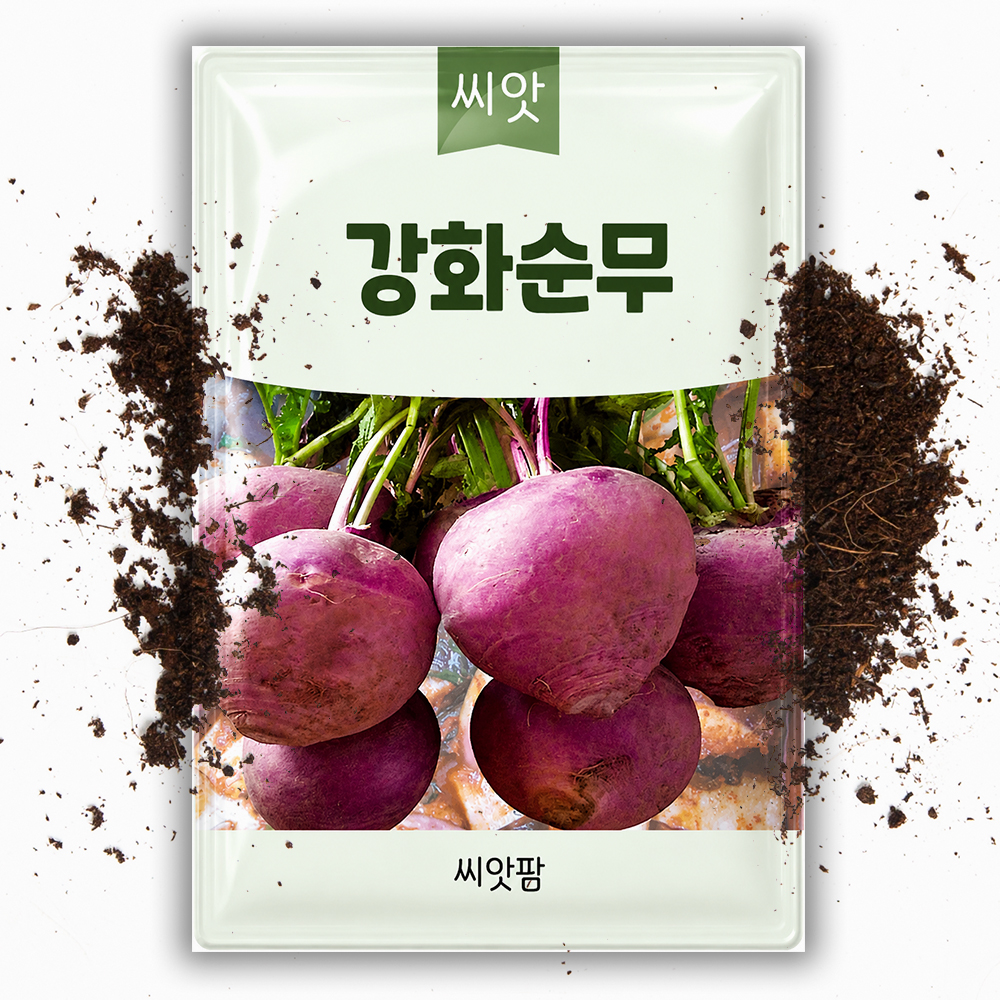 강화순무 씨앗 1500립 국내채종 무우 무 씨 종자 - 상품 이미지