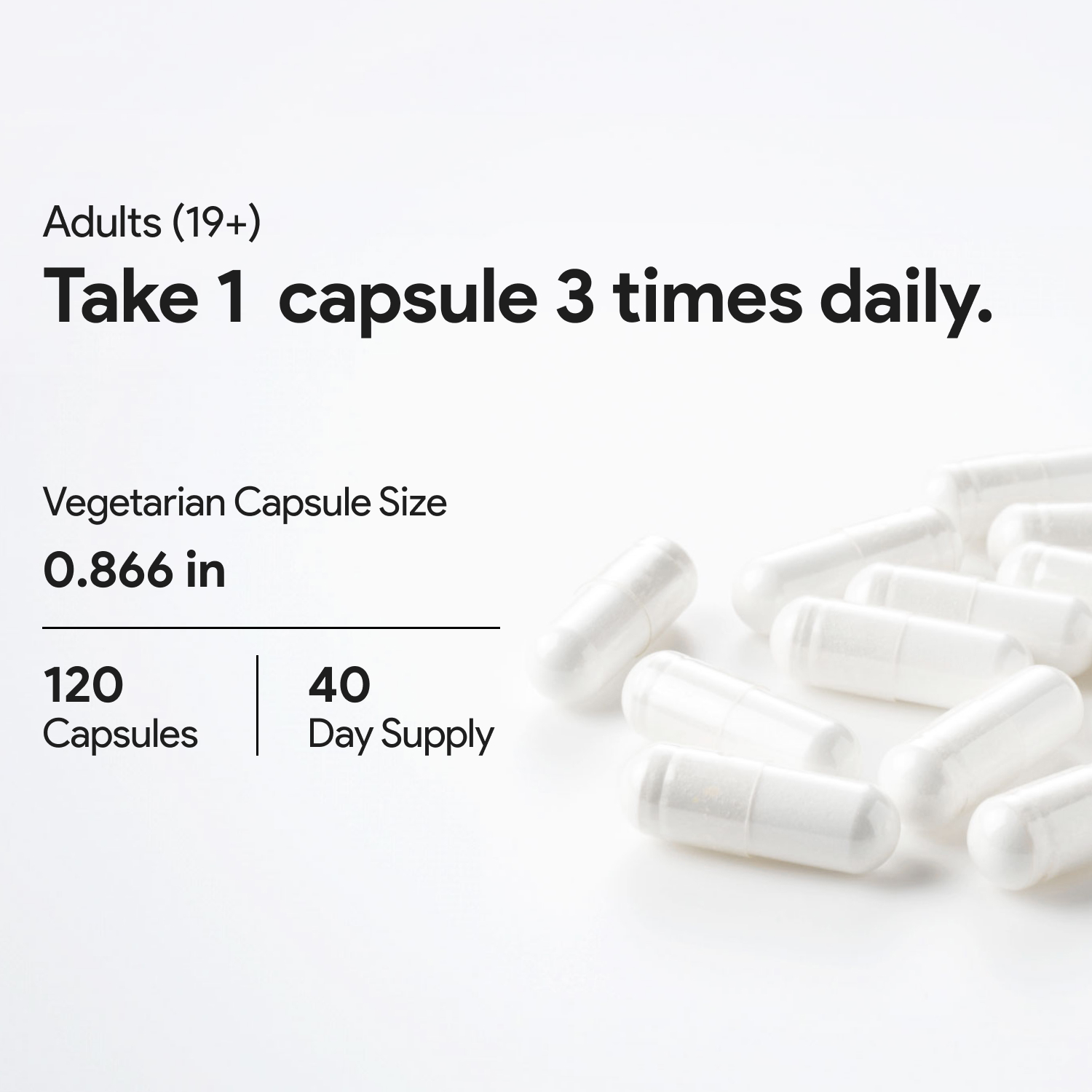 (3팩세트) 뉴트리돔 아세틸 엘카르니틴 750mg 아세틸카르니틴 120캡슐 이미지 7