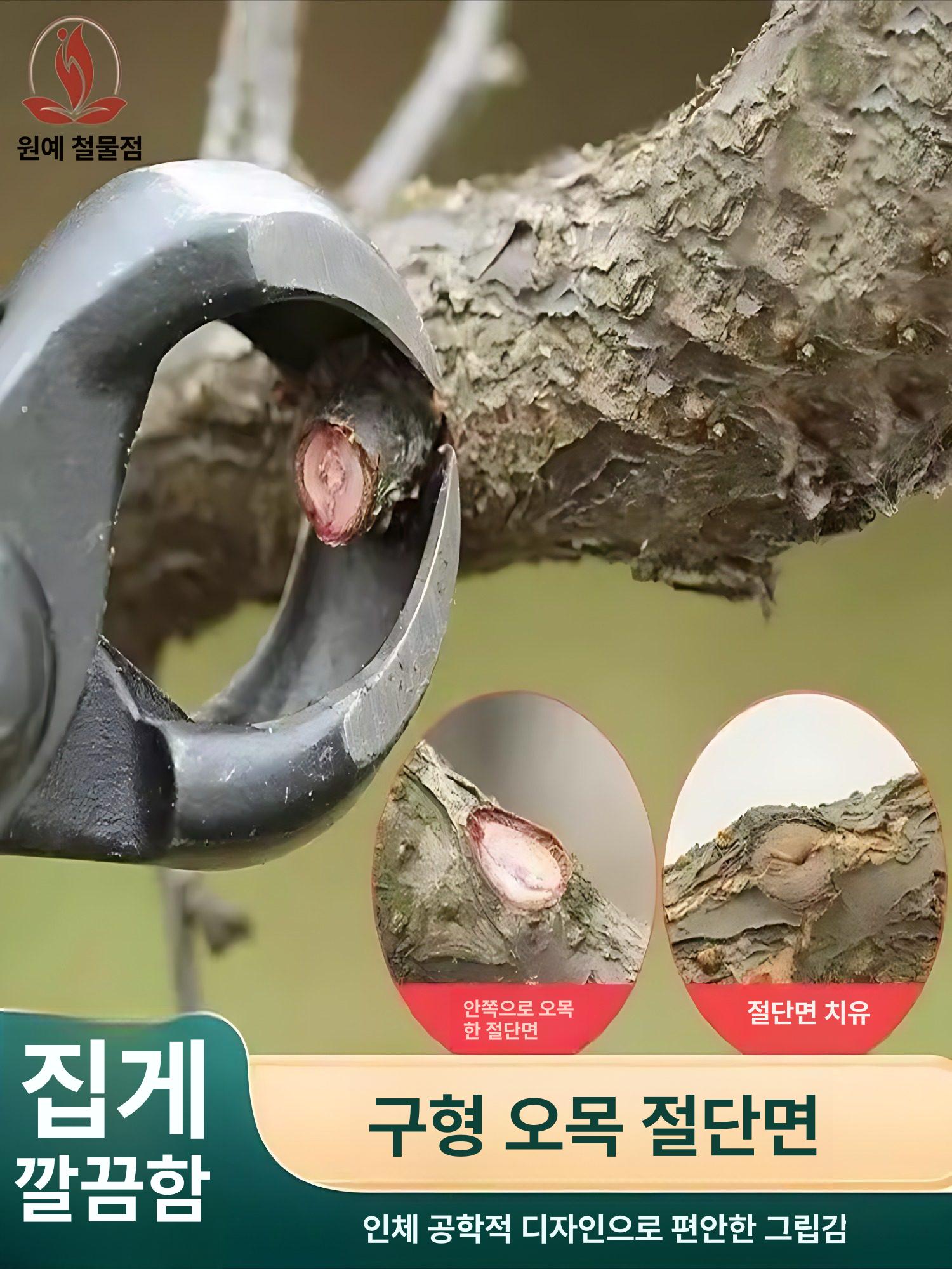 분재가위 밑둥 혹가위 가지치기 조경 원예 뿌리 볼 조인트+각도형 플라이어 - 상세 이미지 3