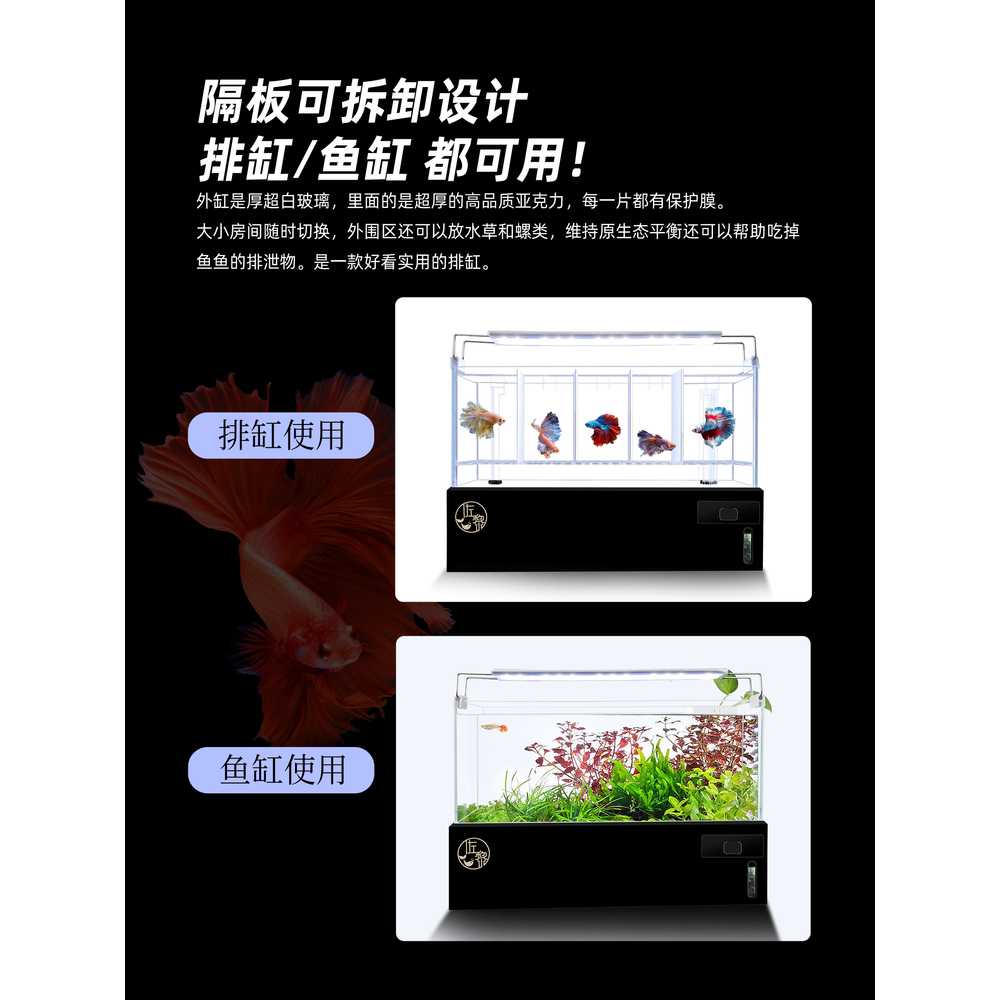 4분할 수조칸막이 격리박스 관상어 사각 투명 구피 4칸 세트 - 상세 이미지 4