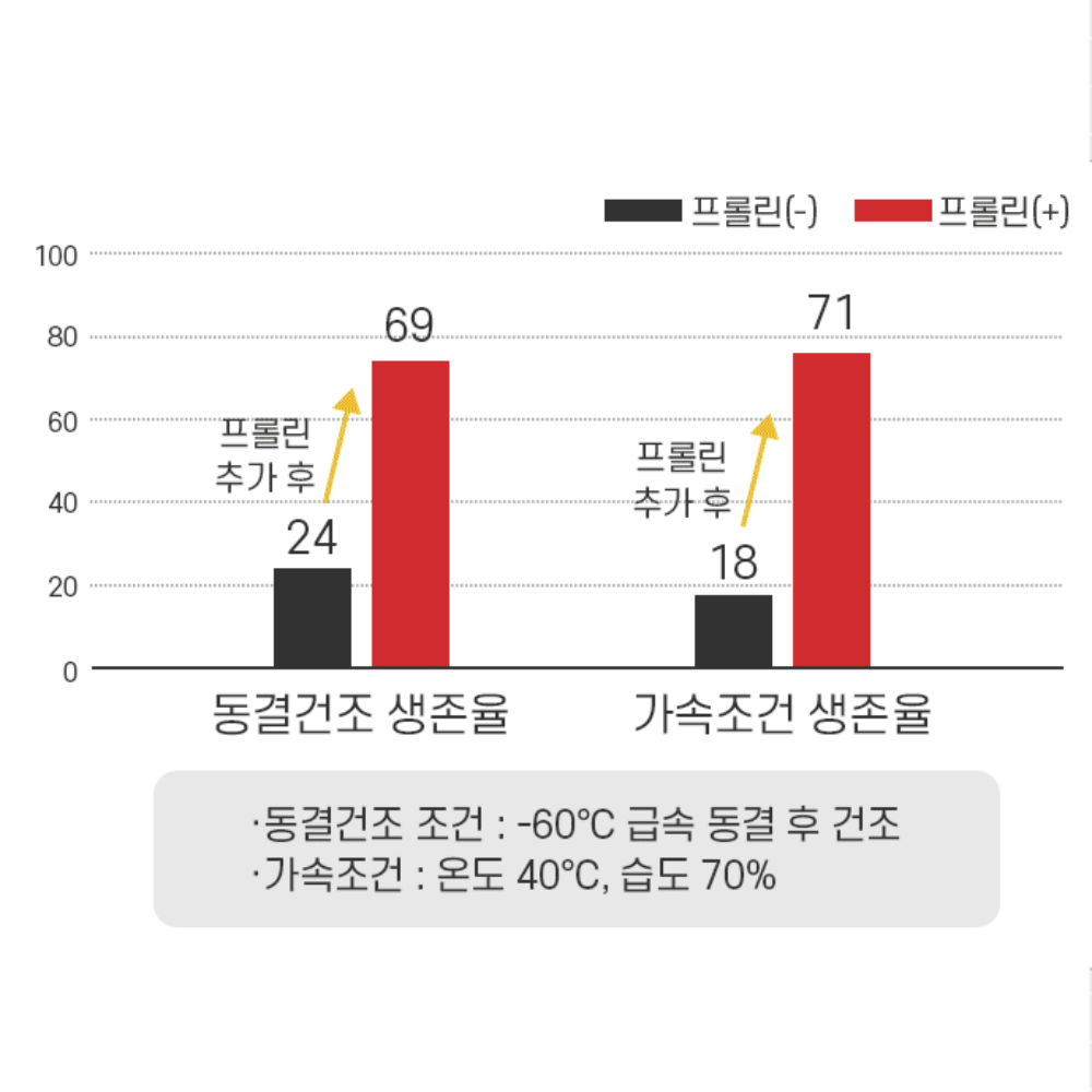 덴마크 구강 낙산균 유산균 프리미엄 모유 예민한장 대장 변비에좋은 초등학생 - 상세 이미지 4