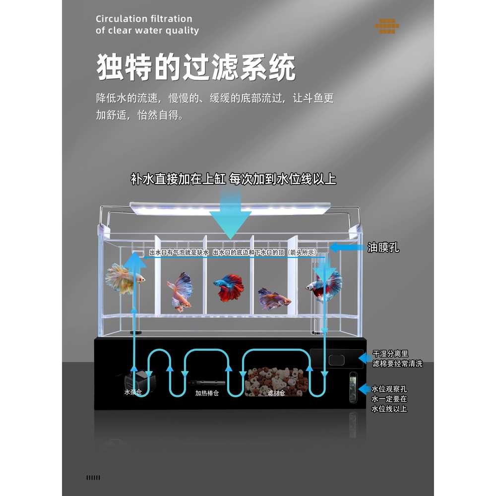 4분할 수조칸막이 격리박스 관상어 사각 투명 구피 4칸 세트 - 상세 이미지 5
