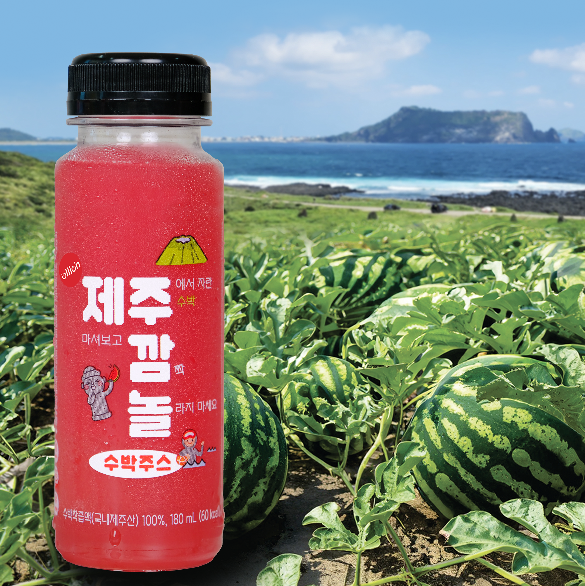 올리온 제주깜놀 100% 수박주스 180ml 6개 리얼착즙 생과일주스 아침대용 오가닉 - 상세 이미지 2