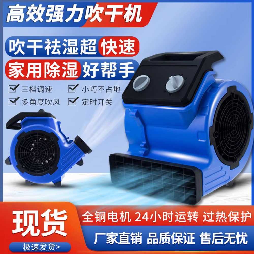 카펫 발매트 건조기 러그 세탁 송풍 온냉풍 드라이어 2800W (온풍 냉풍) - 상세 이미지 2