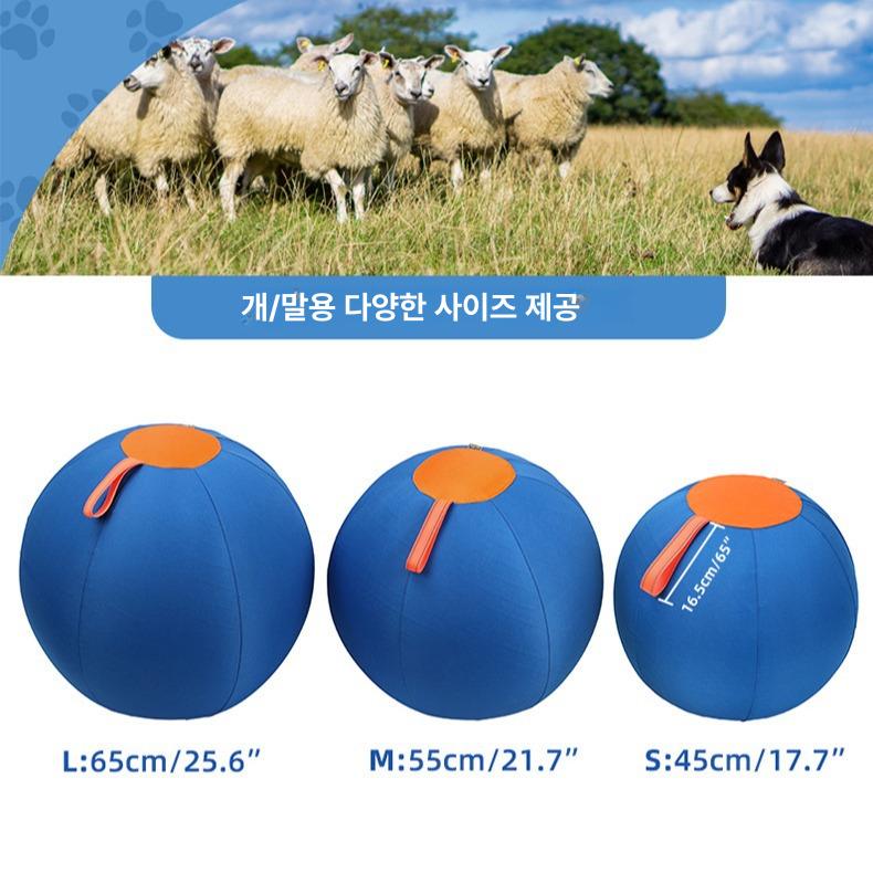 강아지 장난감 대형 튜브볼 내구성 펫 훈련용 치발기 완구 블루오렌지 S - 상세 이미지 4