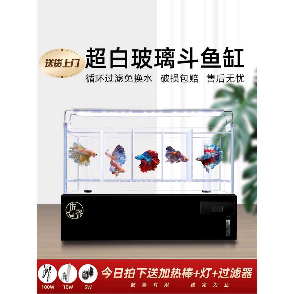 4분할 수조칸막이 격리박스 관상어 사각 투명 구피 4칸 세트 - 상세 이미지 2