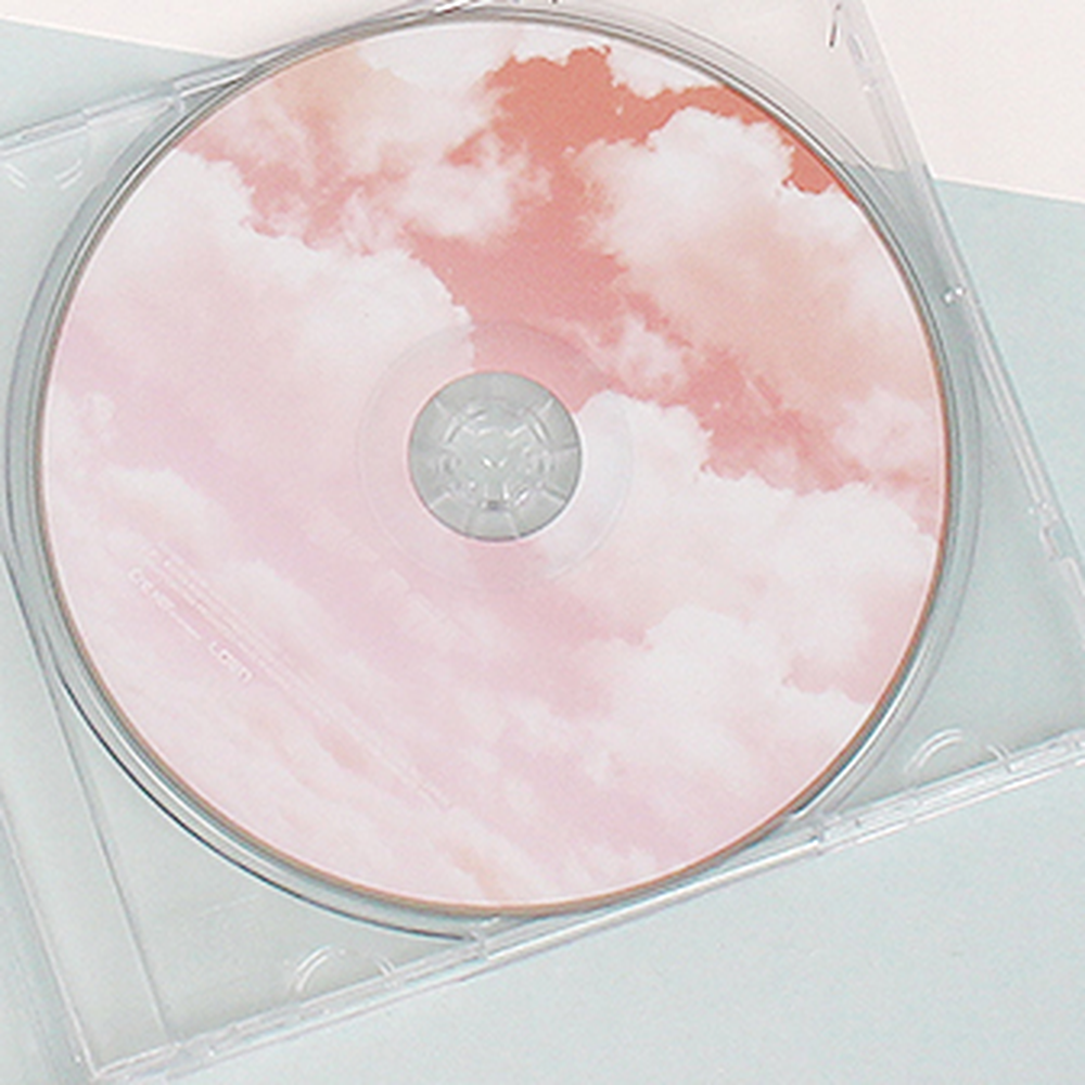 투명데이터보관CD케이스 플라스틱CD보관함 교육용DVD정리DVD케이스 - 상세 이미지 4