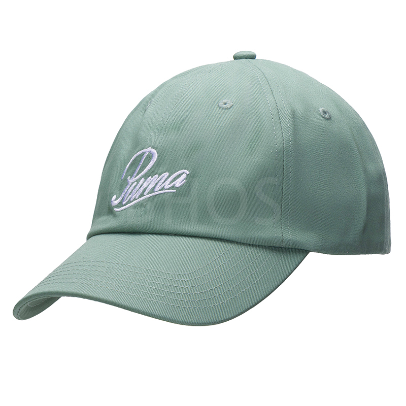 푸마 ESS SCRIPT LOGO Dad Cap 그린 모자