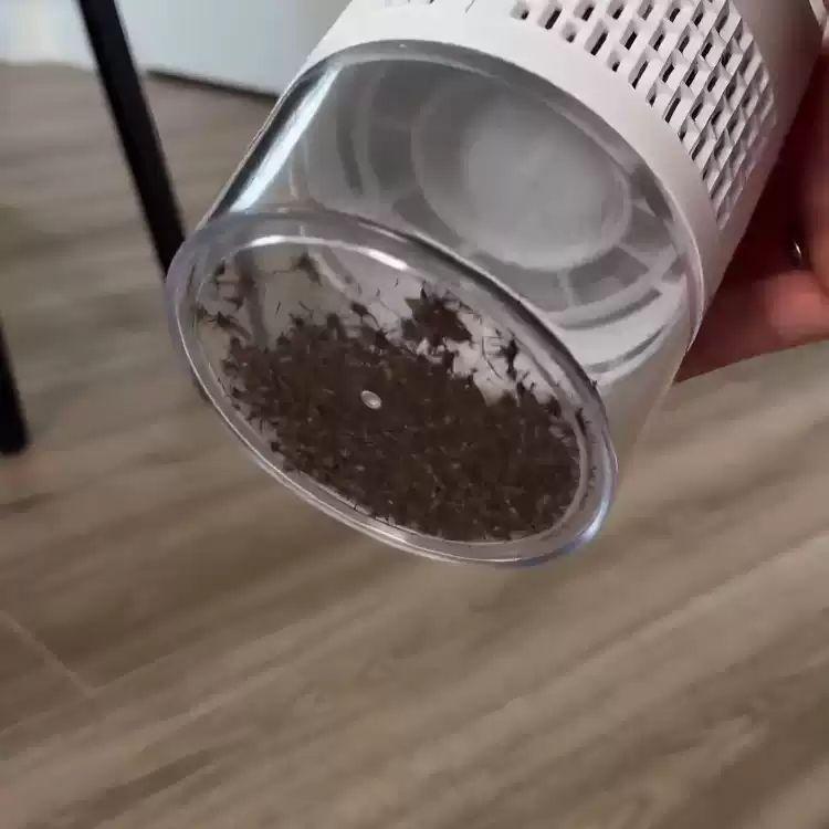 자동 모기퇴치기 실내용 UV 램프 모기포집 유인 화이트 - 상세 이미지 3