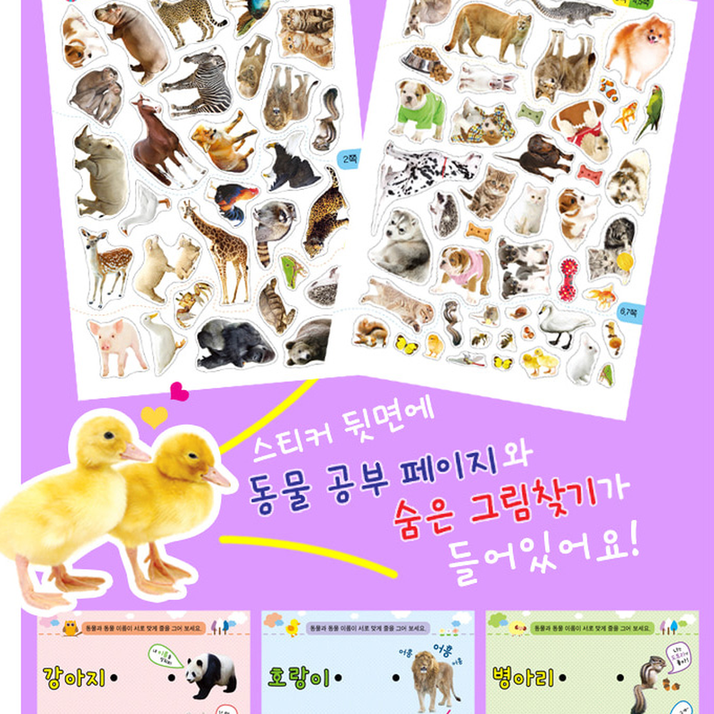 구여운동물스로놀이학습동물스티커북 초등저학년스티커놀이책 유치원학습 - 상세 이미지 5