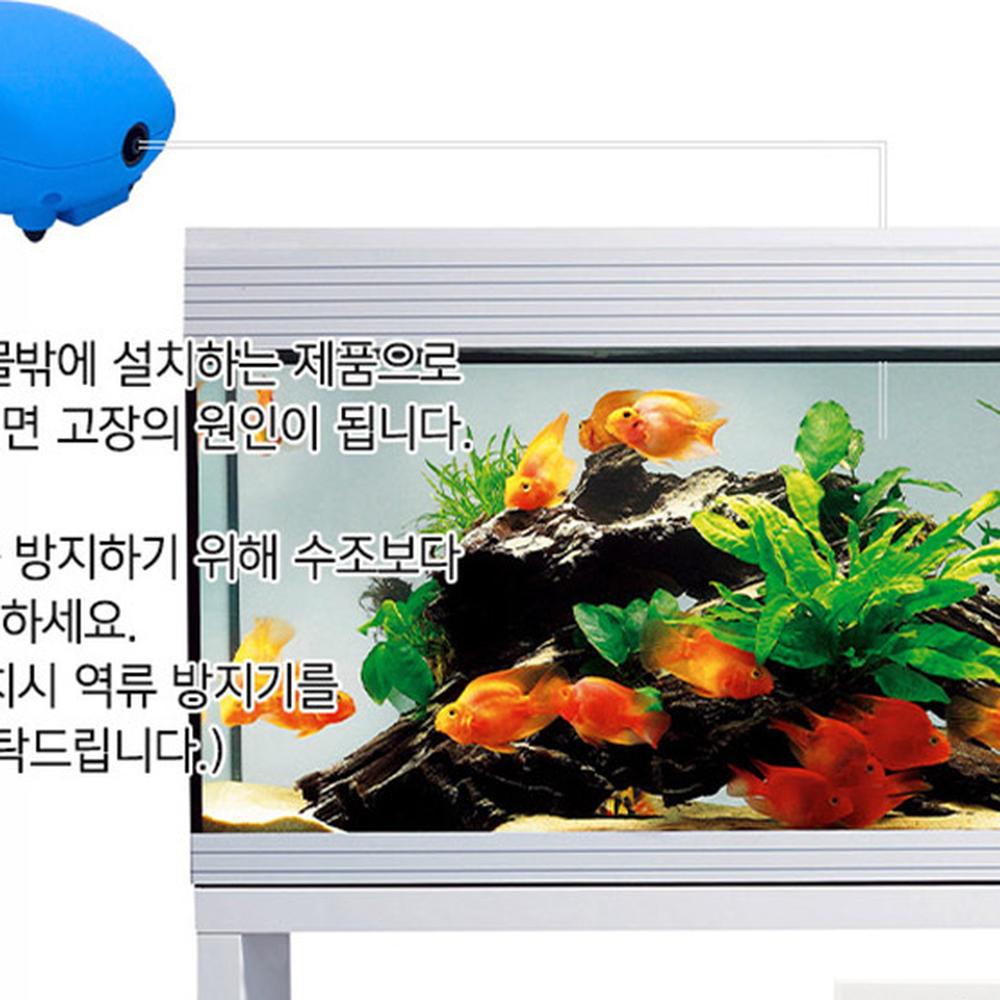 소형사이즈어항관리산소발생기 미끄럼방지물생활용에어펌프 저소음설계수족관관리기포발생기 - 상세 이미지 3