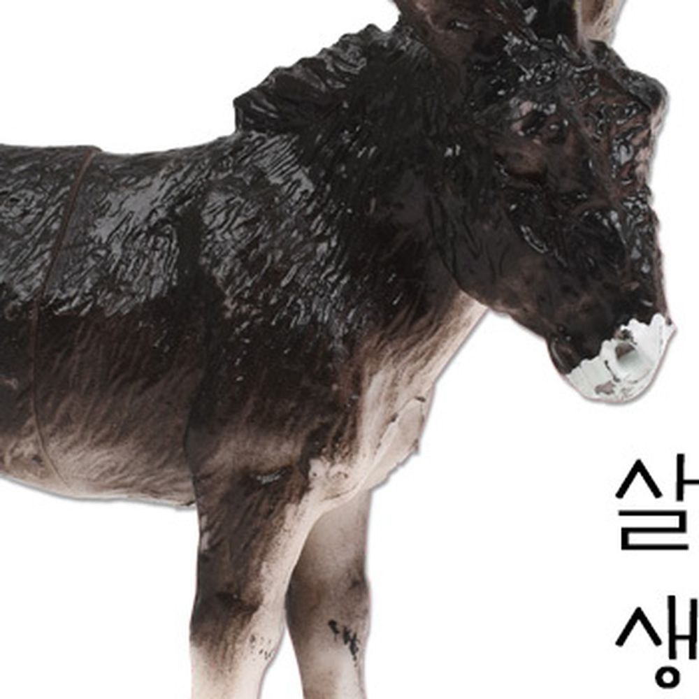 학습교구유치원학습동물피규어 초등저학년가축피규어 소근육발달농장놀이동물모형 - 상세 이미지 5